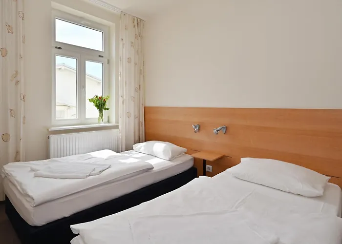 Nr 9 Celia * ゼリン